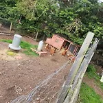 The Jackdaw Pub Self Catering Static Caravan Free Breakfast Supplied * 塔德卡斯特