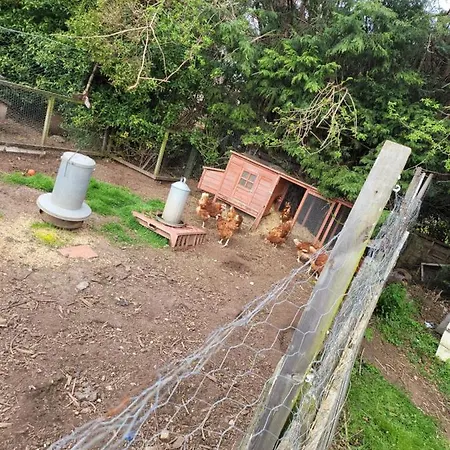 The Jackdaw Pub Self Catering Static Caravan Free Breakfast Supplied * Tadcaster