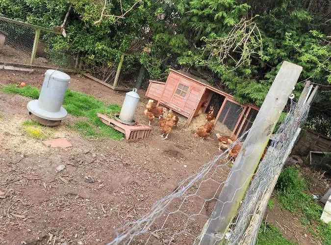 The Jackdaw Pub Self Catering Static Caravan Free Breakfast Supplied * Tadcaster