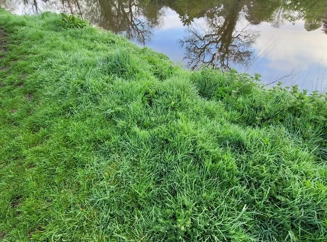 The Jackdaw Pub Self Catering Static Caravan Free Breakfast Supplied Guest house